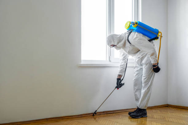 Best Pest Control for Businesses  in Clinton, UT