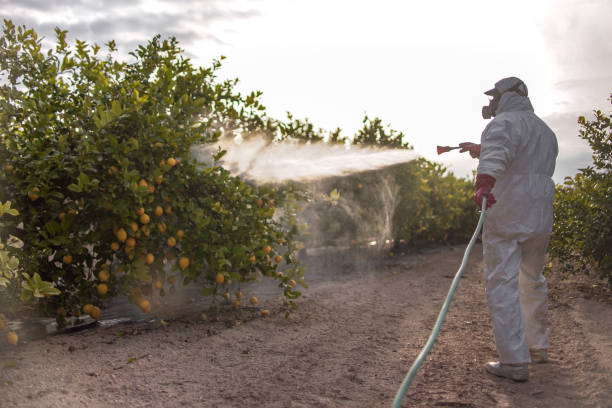 Best Commercial Pest Control Services  in Clinton, UT